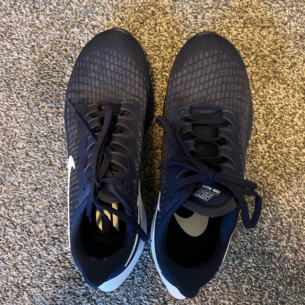 Nike Zoom Pegasus